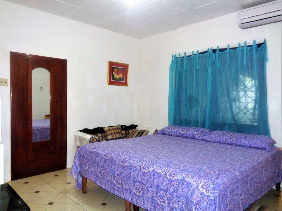 Yard Style Hotel Kingston Luaran gambar